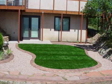 Artificial Grass Photos: Synthetic Pet Turf Sierra Madre California Landscape